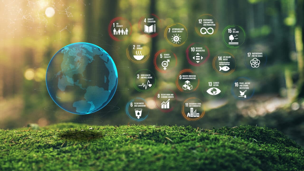 UN sustainability goals